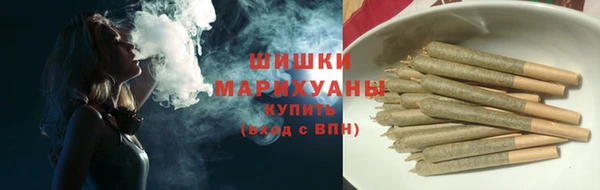 ГАЛЛЮЦИНОГЕННЫЕ ГРИБЫ Алексин
