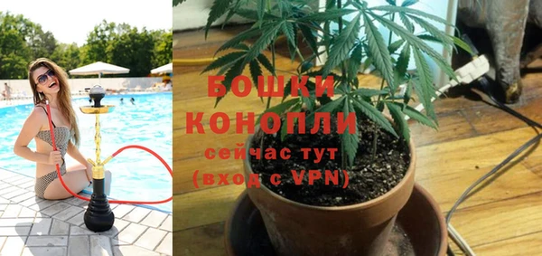 крисы Гусев