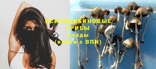 дмт Алексеевка