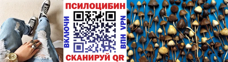 Псилоцибиновые грибы Magic Shrooms  как найти закладки  omg рабочий сайт  Сосновка 